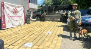 Policía y Ejército Nacional incautaron más de una tonelada de marihuana en el Cauca