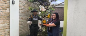 Rescate de guacamayas fortalece la protección de la fauna en el Cauca