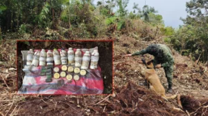 Ejército nacional frustra ataques con explosivos en El Tambo, Cauca