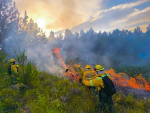 Incendio forestal en zona rural de Popayán fue controlado por el cuerpo de bomberos
