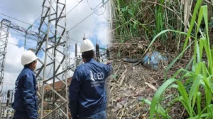 Falla en línea eléctrica en Caloto deja a más de mil usuarios sin luz por alerta ante posible artefacto explosivo